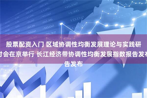 股票配资入门 区域协调性均衡发展理论与实践研讨会在京举行 长江经济带协调性均衡发展指数报告发布