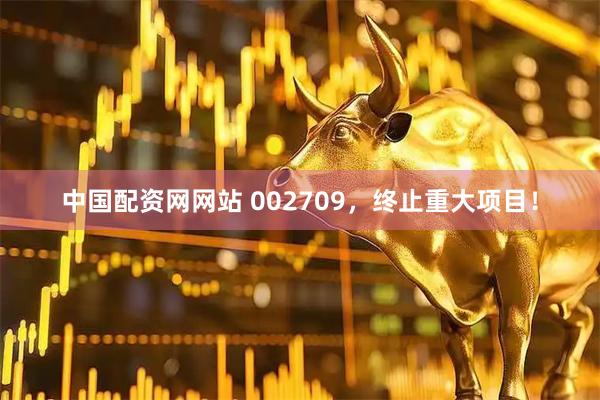 中国配资网网站 002709，终止重大项目！